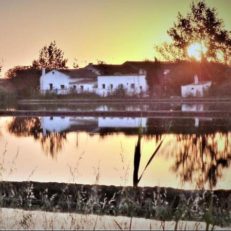 Apartamento 1 bajo con 2 Terrazas piscina y jardin Deltebre Exterior foto