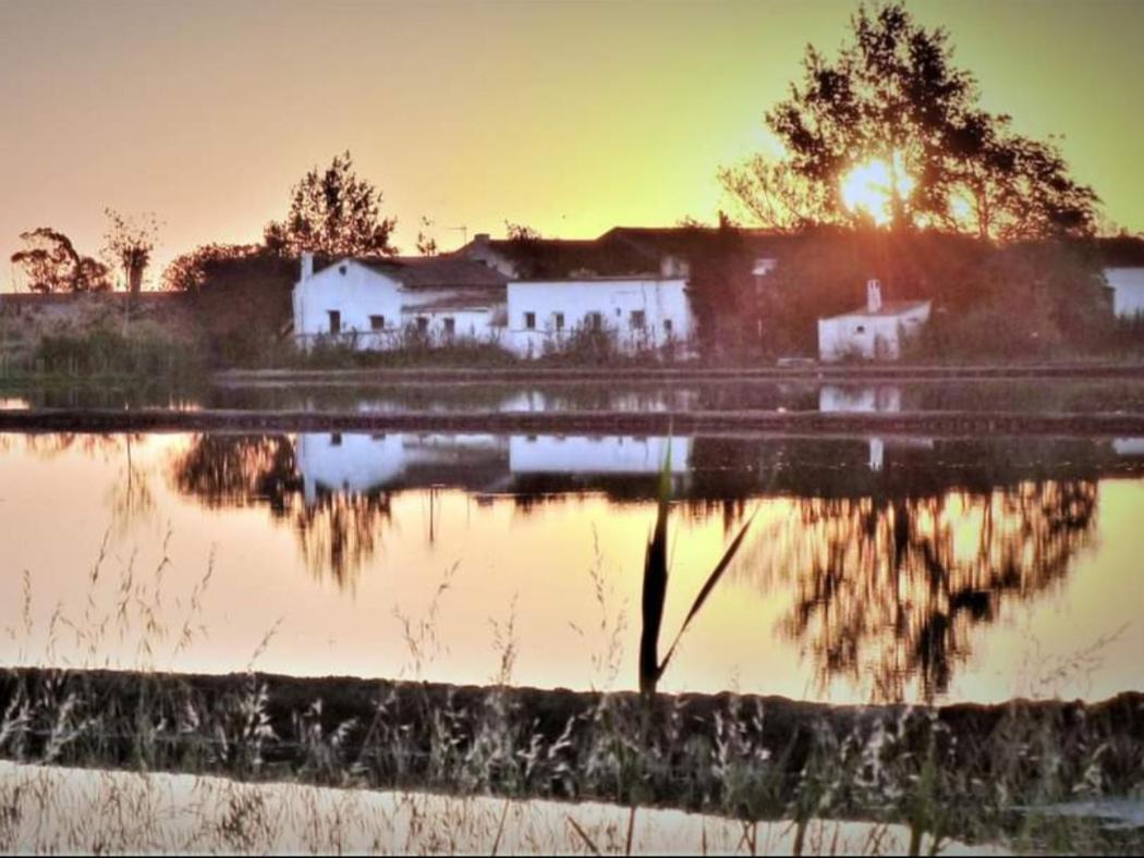 Apartamento 1 bajo con 2 Terrazas piscina y jardin Deltebre Exterior foto